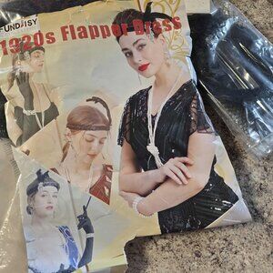 1920s Flapper Dress costume